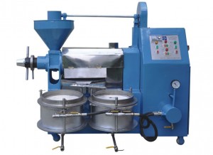A groundnut processing machine