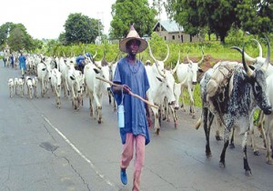 herdsmen