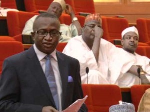 Senator Ndoma Egba SAN on the floor of the Senate