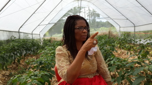 Hon. Nkoyo Toyo in the farm during the interaction with CrossRiverWatch