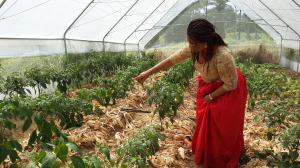 Nkoyo Toyo in the farm