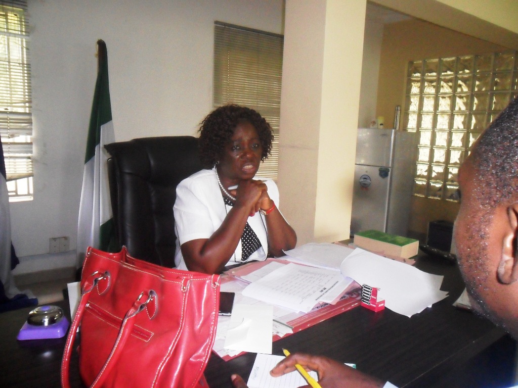 Rosemary Atsu-Arop, State Electrification Agency Director General during the briefing