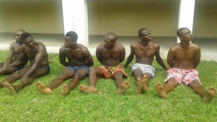 Some of the arrested suspects that were paraded