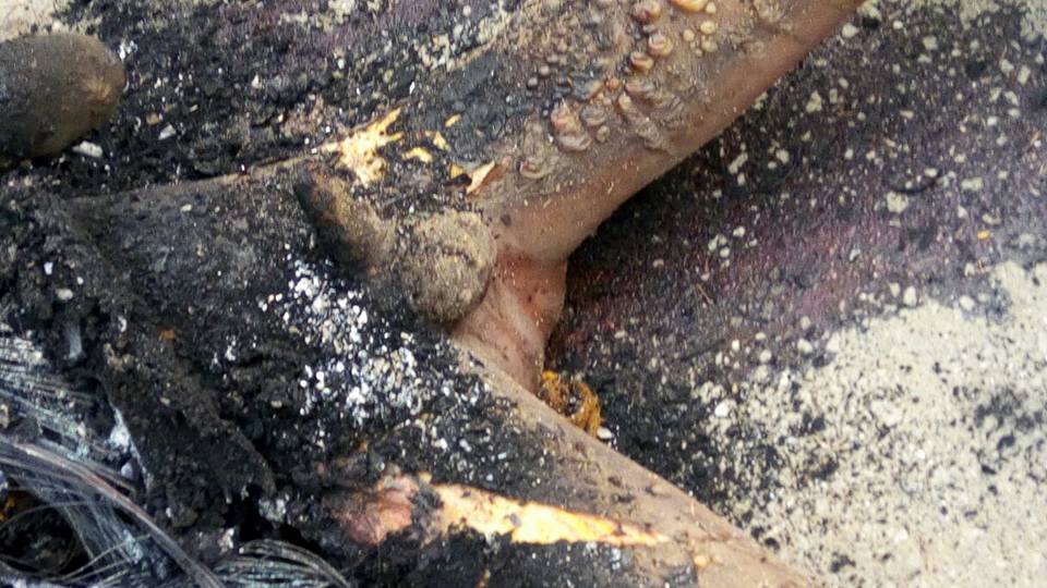 File Photo: Charred remains of a suspected car battery thief in Calabar killed by angry mob in February 2017