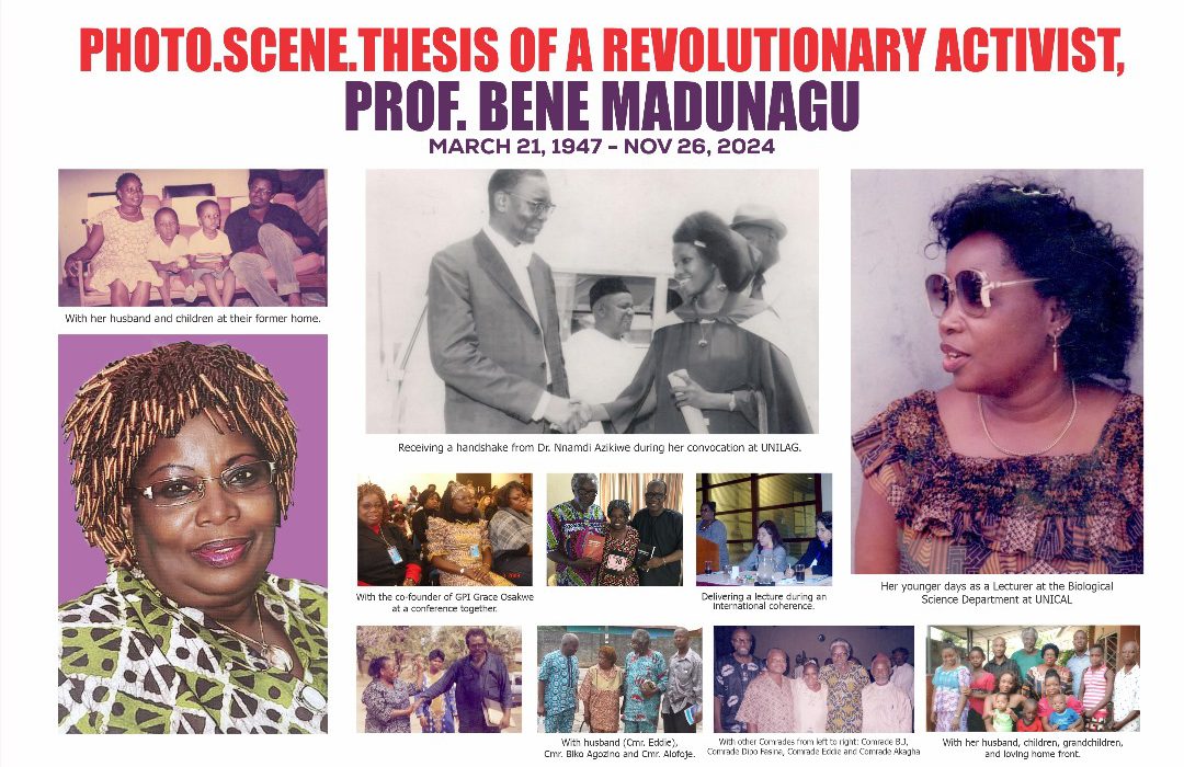 Photo.Scene.Thesis (a play on the botanical term - Photosynthesis) showing the life and times of Comrade Professor Bene Madunagu