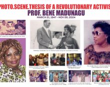 Photo.Scene.Thesis (a play on the botanical term - Photosynthesis) showing the life and times of Comrade Professor Bene Madunagu