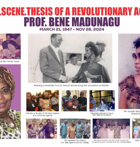 Photo.Scene.Thesis (a play on the botanical term - Photosynthesis) showing the life and times of Comrade Professor Bene Madunagu