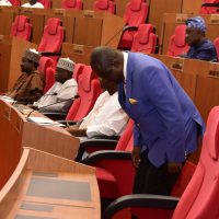 Senator Eteng Jonah Williams takes a bow on the floor of the 10th National Assembly
