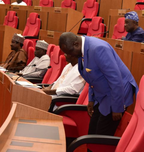 Senator Eteng Jonah Williams takes a bow on the floor of the 10th National Assembly